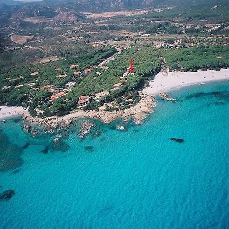 La Corte Degli Ulivi Appartamenti 卡拉·利贝罗托 客房 照片